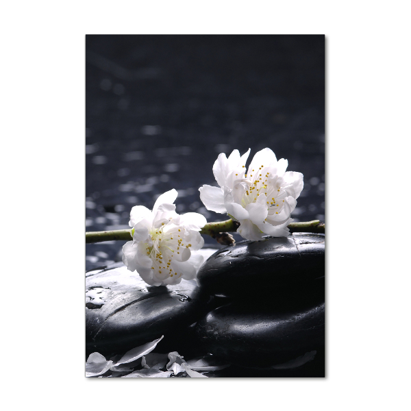 Staand foto in plexiglas Bloemen en stenen