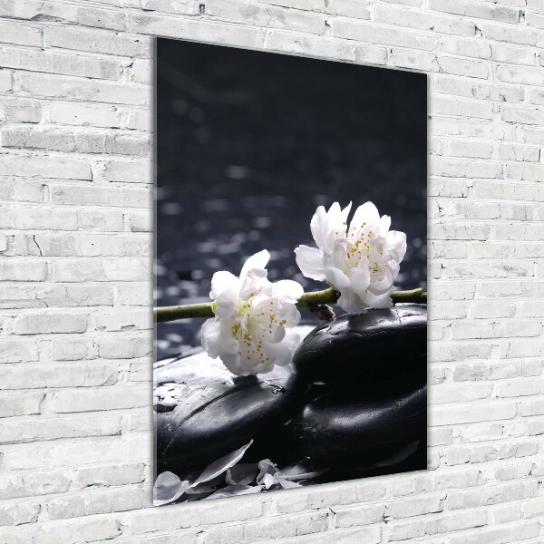 Staand foto in plexiglas Bloemen en stenen