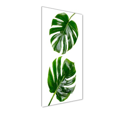 Staand foto op plexiglas Monstera