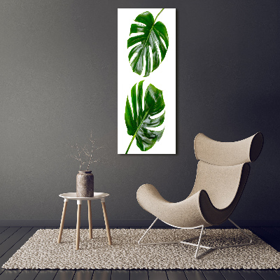 Staand foto op plexiglas Monstera