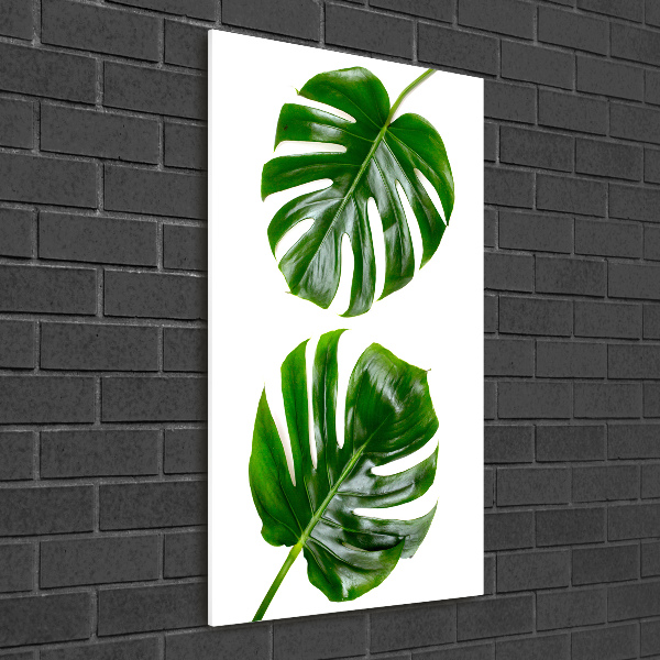Staand foto op plexiglas Monstera
