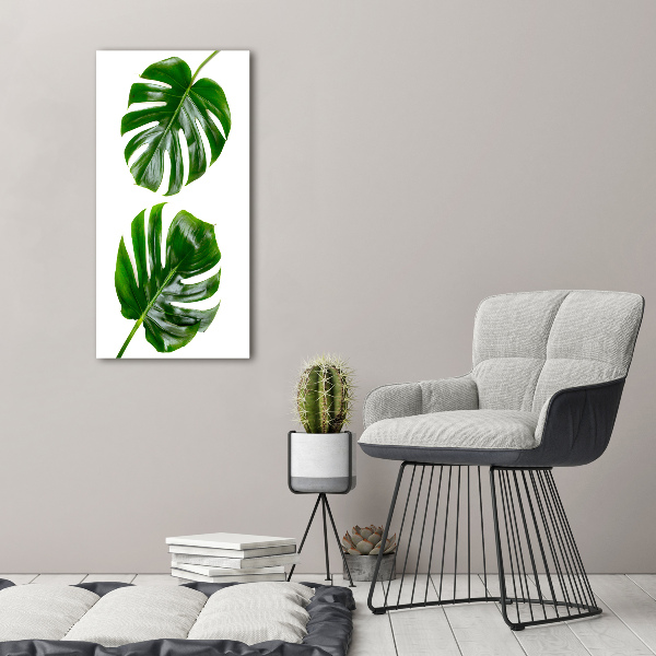 Staand foto op plexiglas Monstera