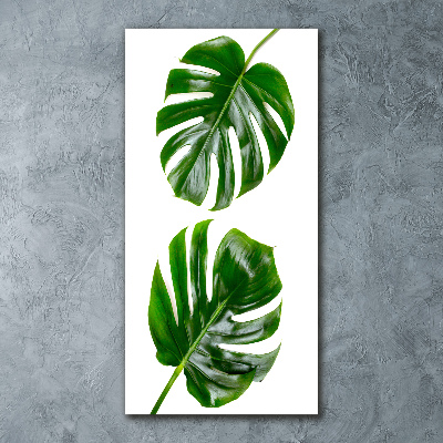 Staand foto op plexiglas Monstera