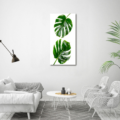 Staand foto op plexiglas Monstera