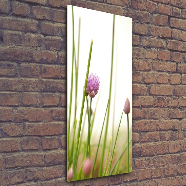 Staand plexiglas foto Bieslookbloem