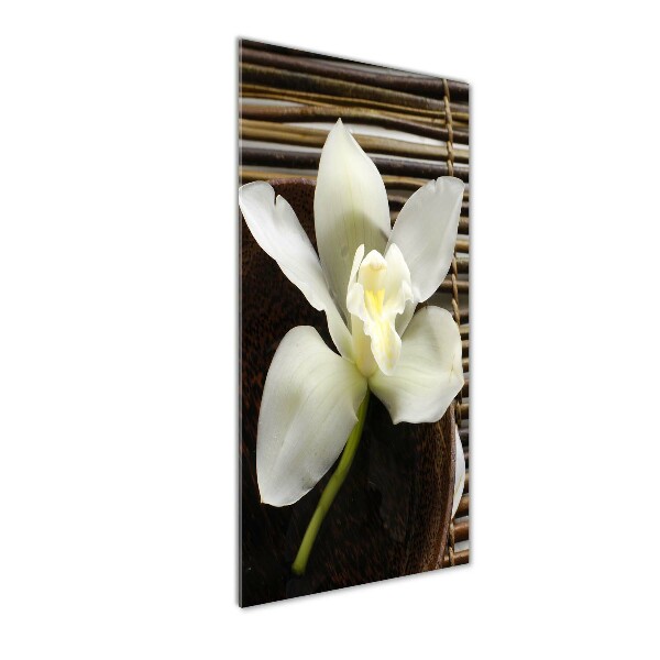 Staand foto plexiglas Orchidee