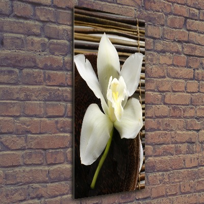 Staand foto plexiglas Orchidee