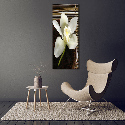 Staand foto plexiglas Orchidee