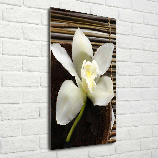 Staand foto plexiglas Orchidee