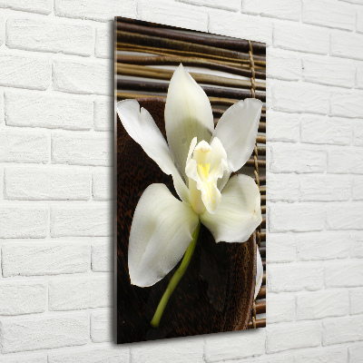 Staand foto plexiglas Orchidee