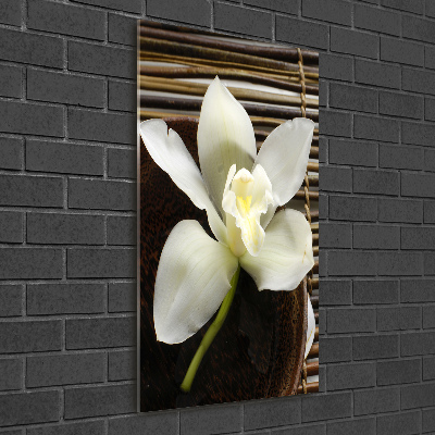 Staand foto plexiglas Orchidee