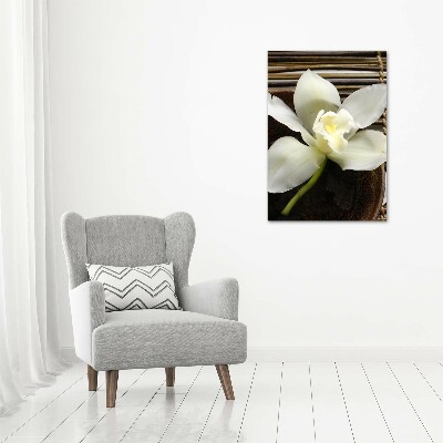 Staand foto plexiglas Orchidee