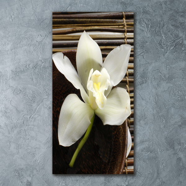Staand foto plexiglas Orchidee