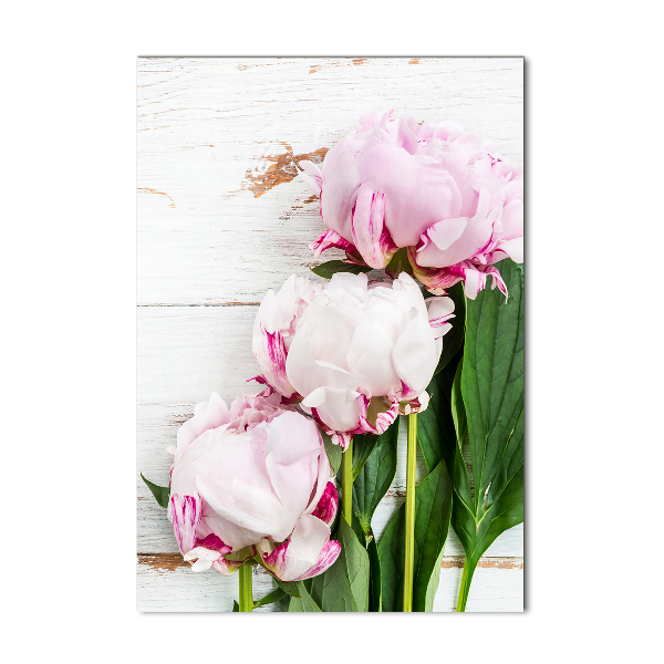 Staand foto op plexiglas Pioen