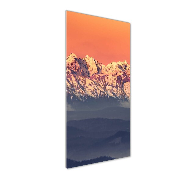 Staand plexiglas foto Panorama van het Tatragebergte