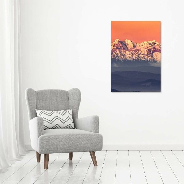 Staand plexiglas foto Panorama van het Tatragebergte