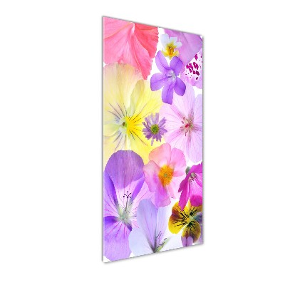 Staand foto plexiglas Kleurrijke bloemen