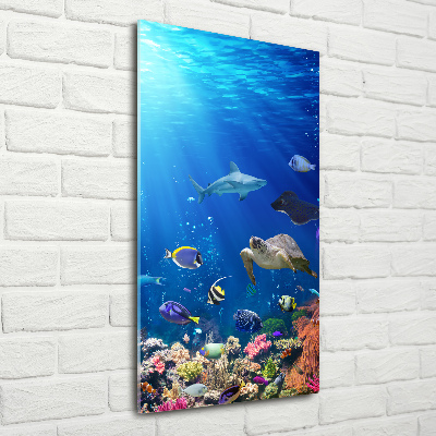 Staand foto plexiglas Koraalrif