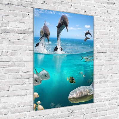 Staand plexiglas foto Onderwaterwereld