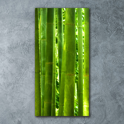 Staand foto plexiglas Bamboe