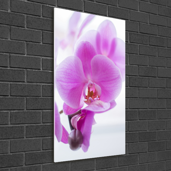 Staand foto in plexiglas Roze orchidee