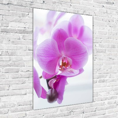 Staand foto in plexiglas Roze orchidee