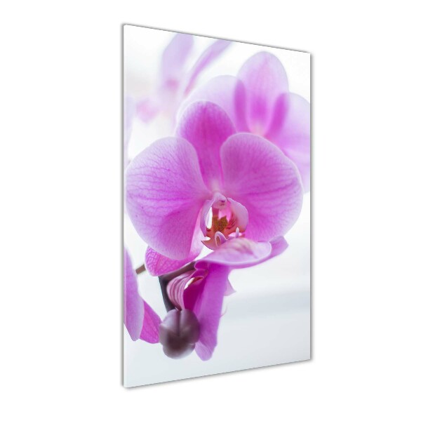 Staand foto in plexiglas Roze orchidee