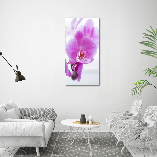 Staand foto in plexiglas Roze orchidee
