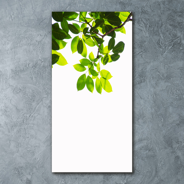 Staand foto op plexiglas Groene bladeren