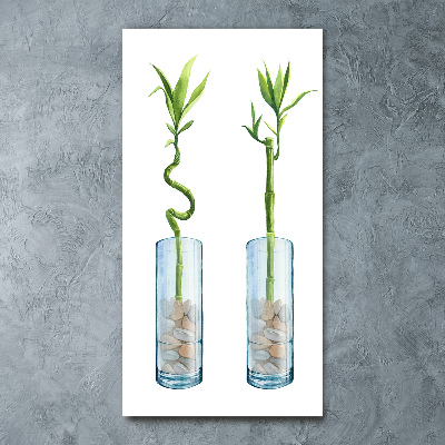 Staand plexiglas foto Bamboe in een pot