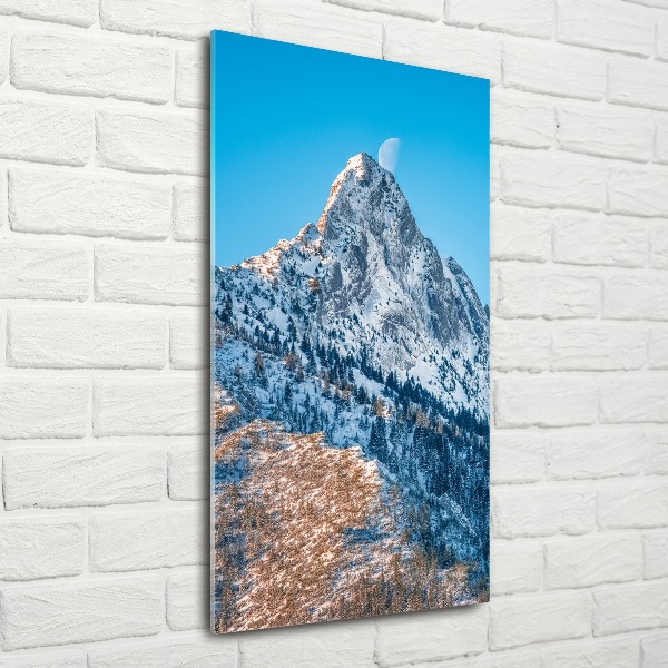 Staand foto op plexiglas Giewont Tatra-gebergte
