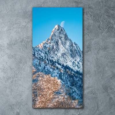 Staand foto op plexiglas Giewont Tatra-gebergte