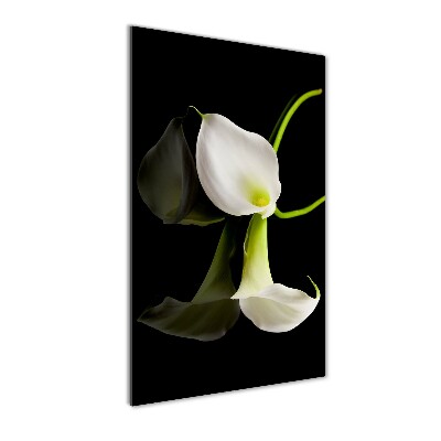 Staand foto plexiglas Witte calla