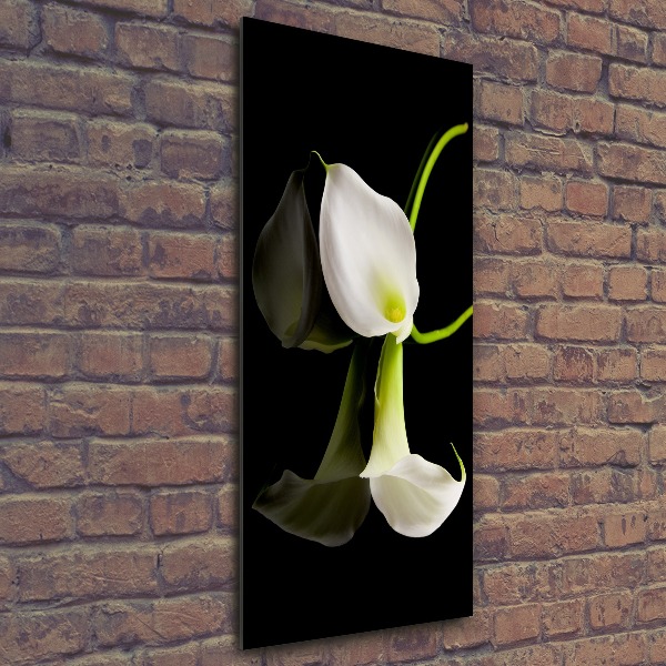 Staand foto plexiglas Witte calla