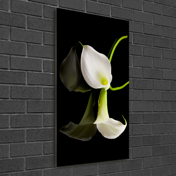 Staand foto plexiglas Witte calla