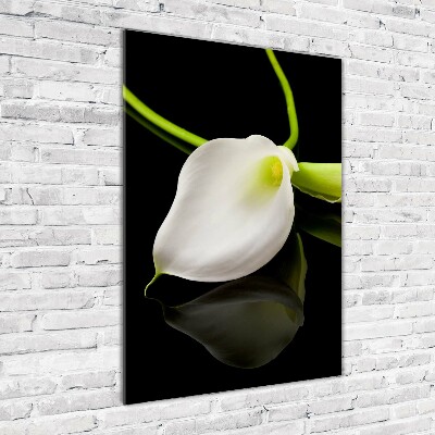 Staand foto plexiglas Witte calla