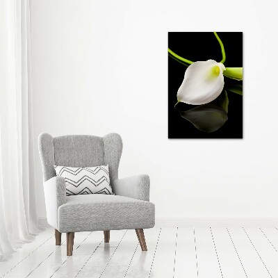 Staand foto plexiglas Witte calla