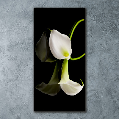 Staand foto plexiglas Witte calla