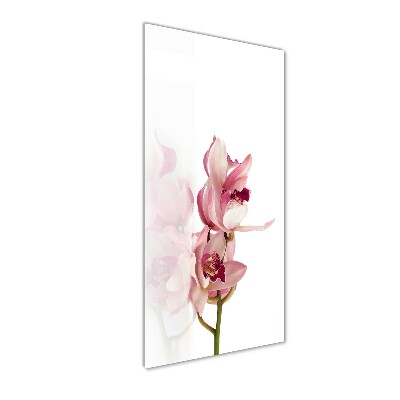 Staand foto op plexiglas Roze orchidee