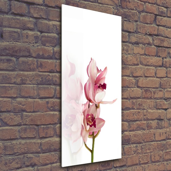 Staand foto op plexiglas Roze orchidee