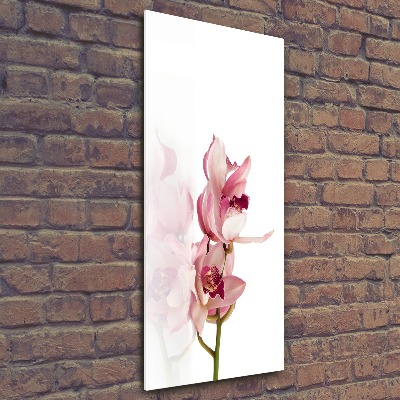 Staand foto op plexiglas Roze orchidee