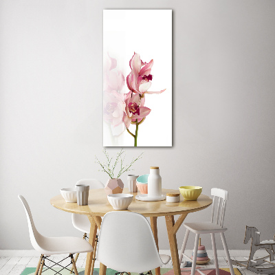 Staand foto op plexiglas Roze orchidee