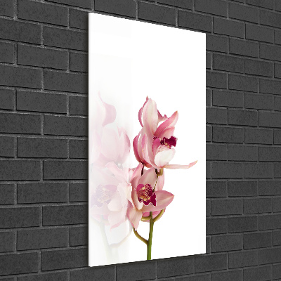 Staand foto op plexiglas Roze orchidee