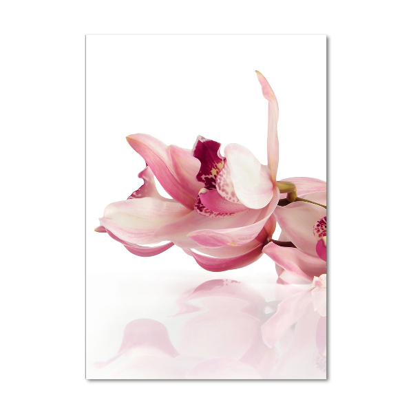 Staand foto op plexiglas Roze orchidee