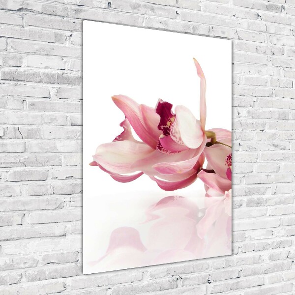 Staand foto op plexiglas Roze orchidee