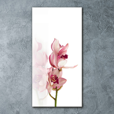 Staand foto op plexiglas Roze orchidee