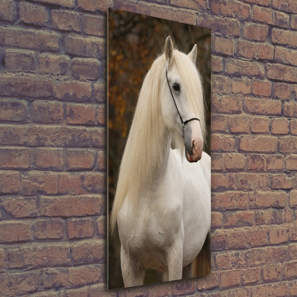 Staand foto in plexiglas Wit paard