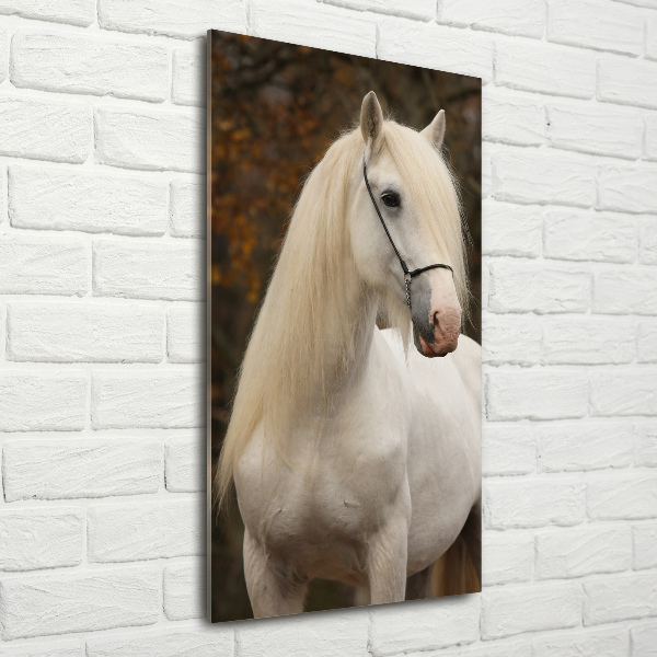 Staand foto in plexiglas Wit paard