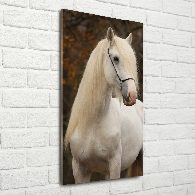 Staand foto in plexiglas Wit paard