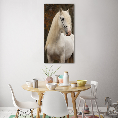 Staand foto in plexiglas Wit paard